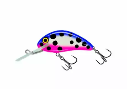 Salmo Hornet 4F - IFE - Salmo Hornet vaaput - HT-040-FL-IFE - 1